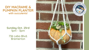 DIY Macrame Pumpkin Planter @ Dream Maker Creative