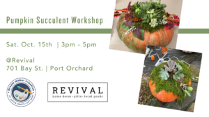 Pumpkin Succulent Workshop @ Revival
