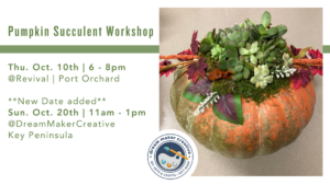 Pumpkin Succulent Workshop @ Dream Maker Creative